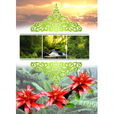 FLORAL BEAUTIES Rainforest Beauty